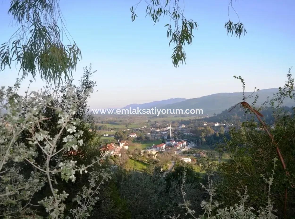 Wohn-Grundstück Zum Verkauf An Schnäppchen Ula Esentepe