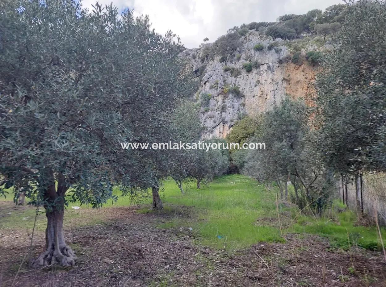 Muğla Köyceğiz Çandırda 3.750 M2 Grundstück Zum Verkauf In Der Nähe Des Dalyan-Kanals