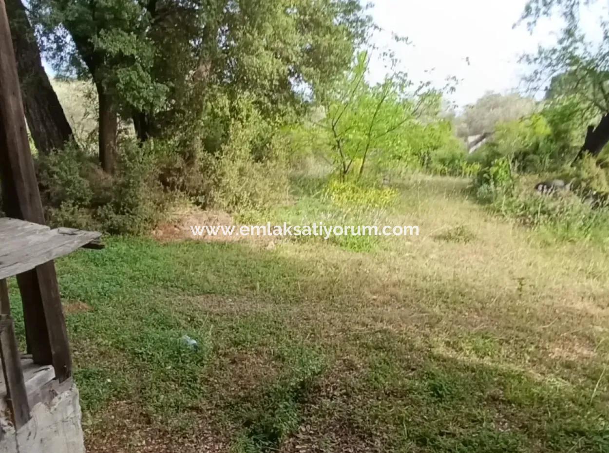 1228 M2 Grundstück Und Kargir Haus Zu Verkaufen In Muğla Menteşe Yaraş, Dorf In Dorf.   