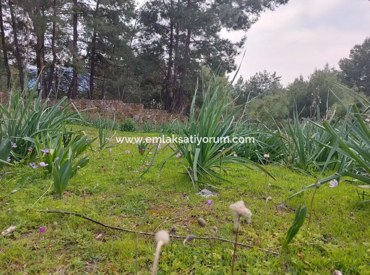 3.500 M2 Freistehendes Grundstück Mit Meerblick Zum Verkauf In Dalaman Gürköy