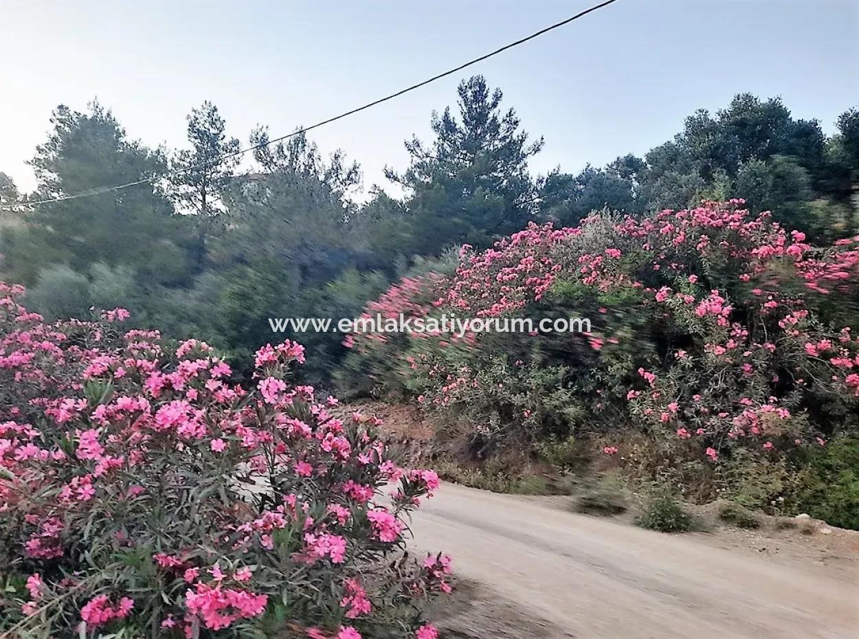 238 M2 Hobbygarten Mit Freistehender Eigentumsurkunde Zum Verkauf In Ortaca Gökbel, Muğla