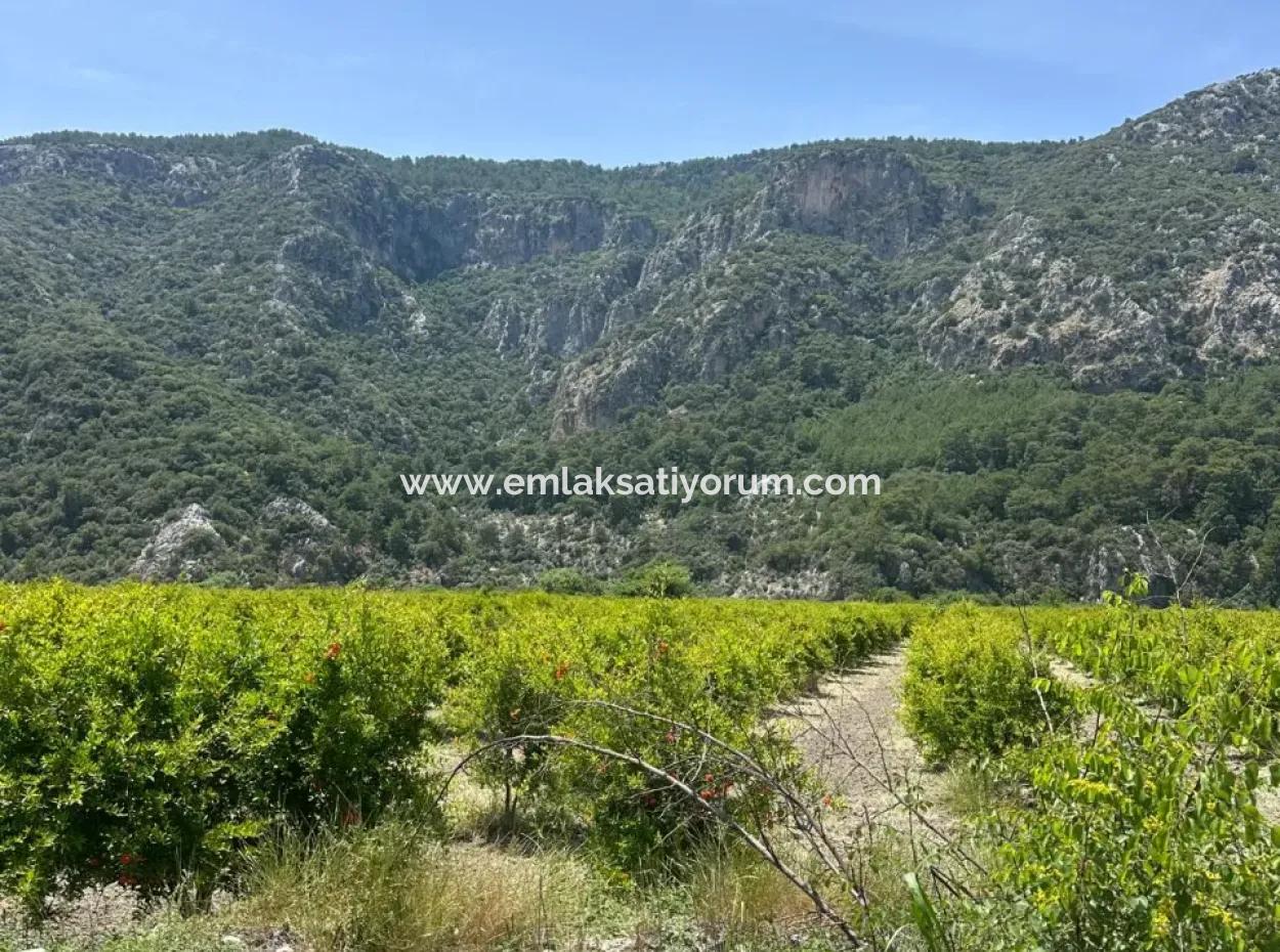 13 500 M2 Feld Zum Verkauf In Ortaca Mergenli