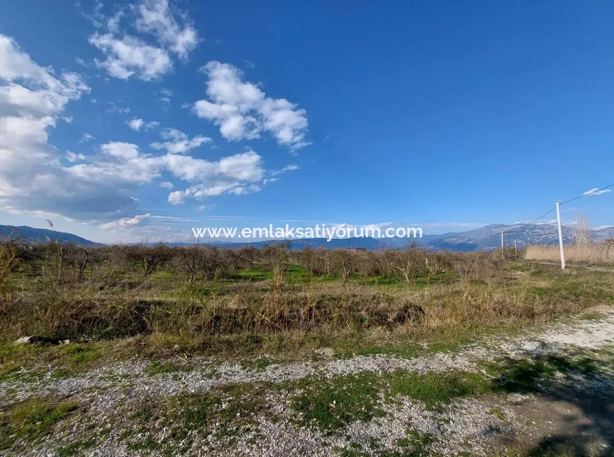 24.800 M2 Investition Und Granatapfelgarten, Geeignet Für Landwirtschaftliche Kredite Zum Verkauf In Ortaca Tepearası