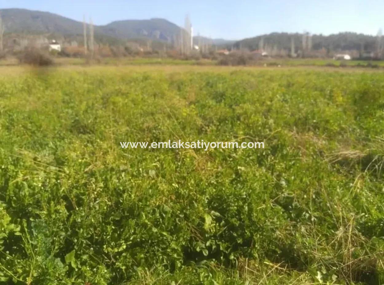 Land Zum Verkauf In Bargain Detached Zeytinalani