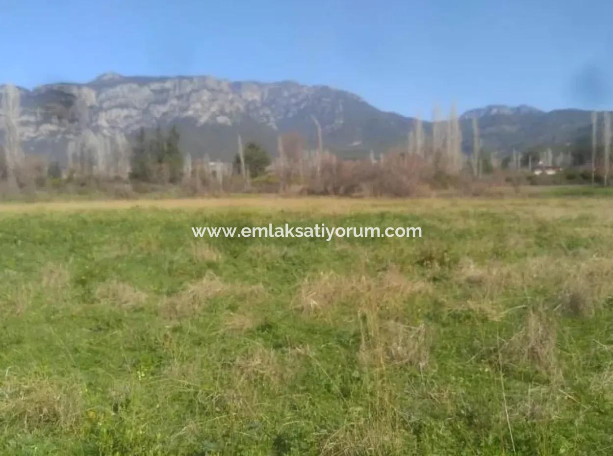 Land Zum Verkauf In Bargain Detached Zeytinalani
