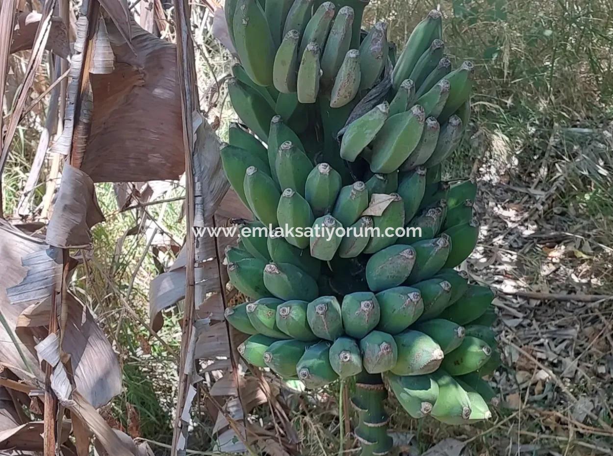 Dorfhaus Zum Verkauf In Ortaca Okçular Bebauungsplan