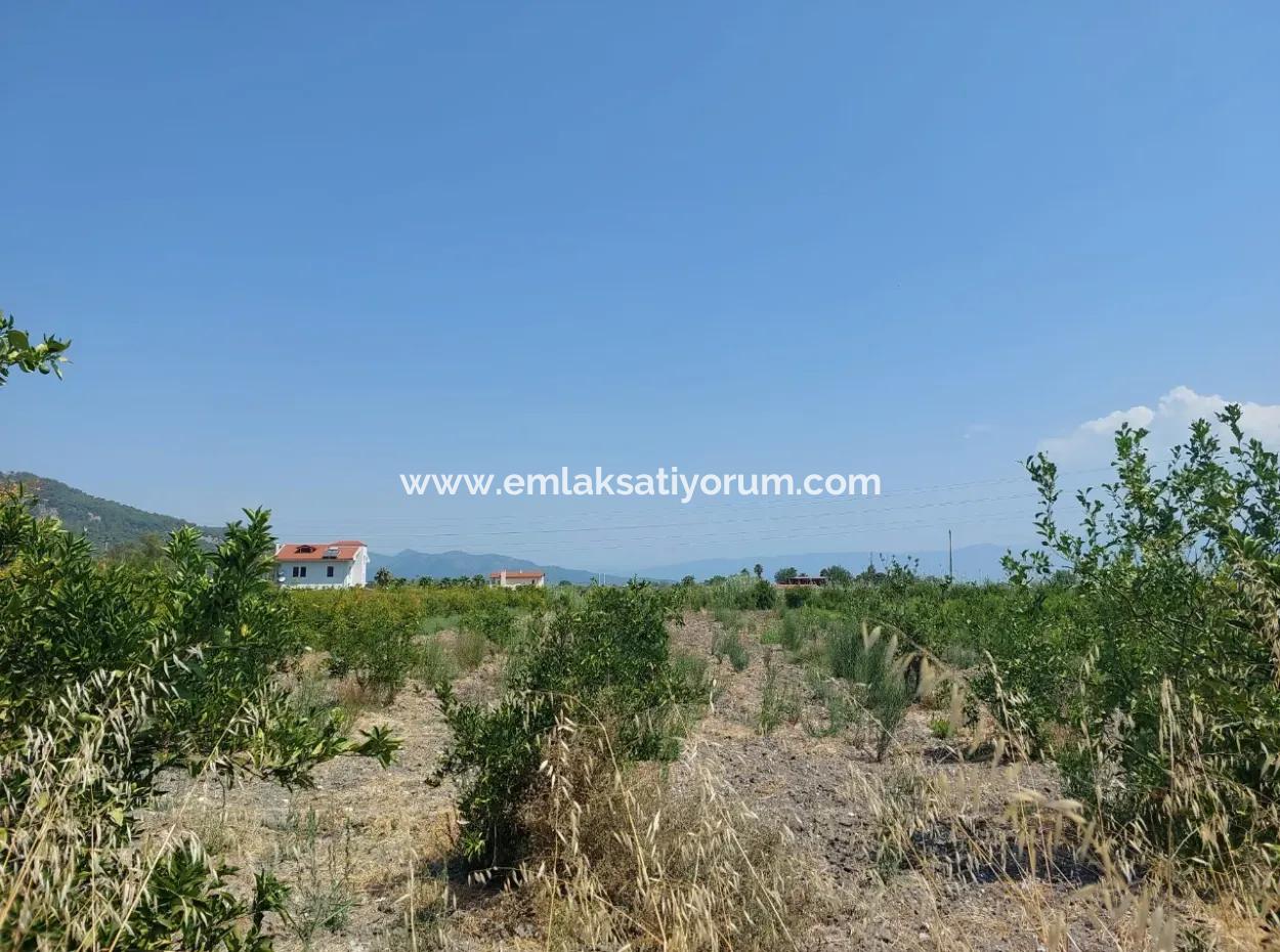 2.800 M² Grundstück Zum Verkauf In Dalyan, Muğla, In Der Nähe Des Dalyan-Kanals
