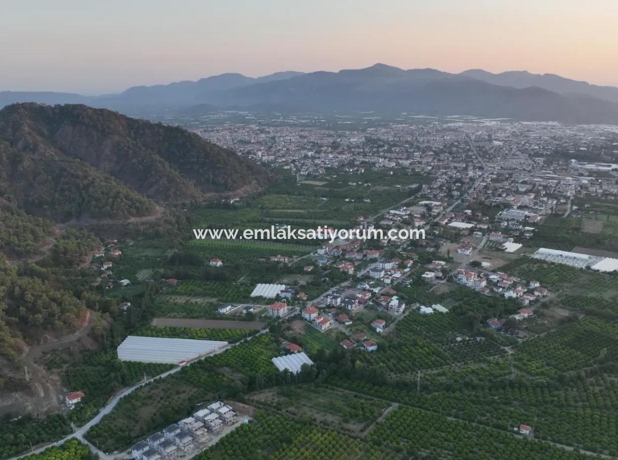 Freistehender 5.000 M² Zitronengarten Mit 150 M² Baurecht In Ortaca Çaylı Zum Verkauf Oder Tausch