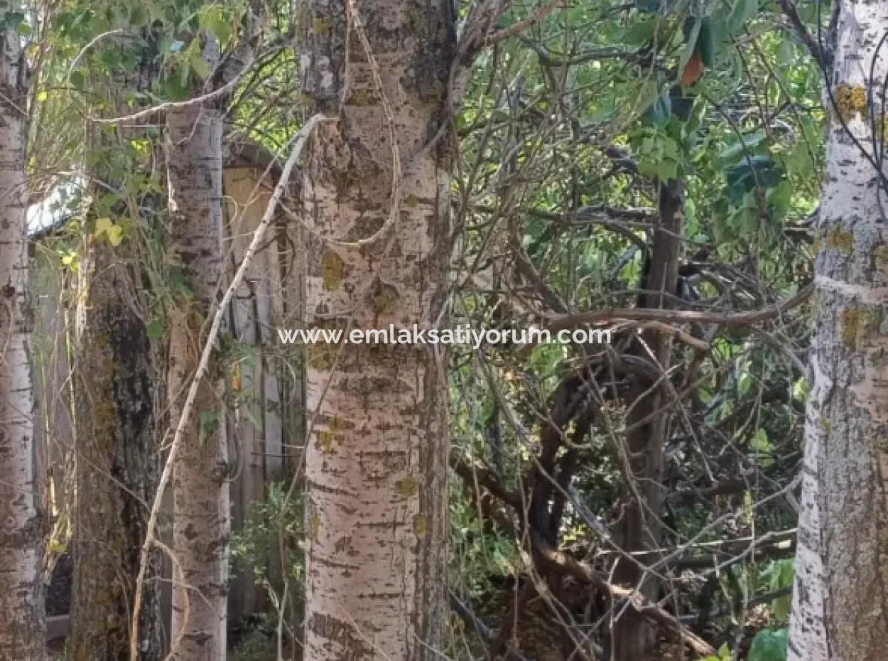 2-Stöckiges Steinhaus Zum Verkauf Auf 750 M² Land In Denizli Çameli Gökçeyaka