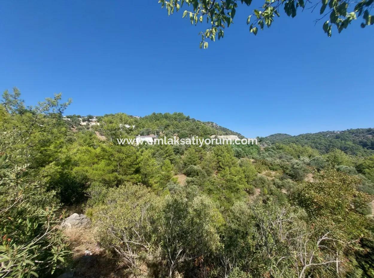 238 M2 Hobbygarten Mit Freistehender Eigentumsurkunde Zum Verkauf In Ortaca Gökbel, Muğla