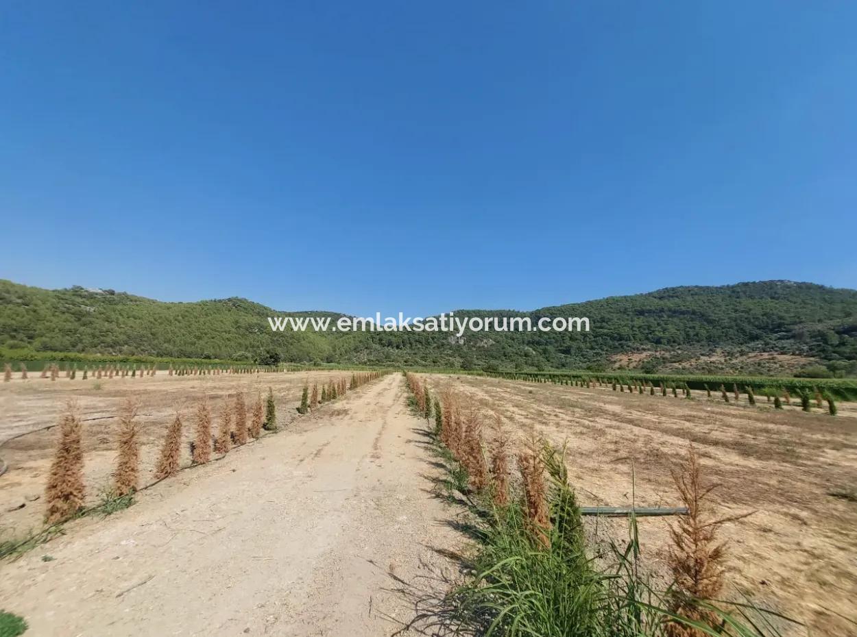 Genossenschaftsanteile Zum Verkauf In Ortaca Güzelyurt – 270 M²