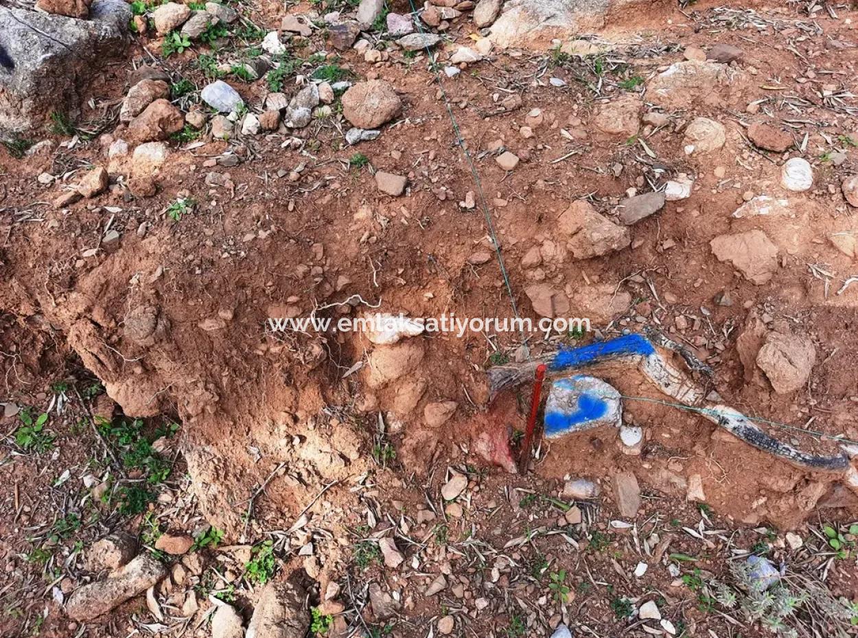 Das Besitzrecht An 3 100 M2 Treasury Land In Muğla Ortaca Dalyan Gökbel Wird Übertragen