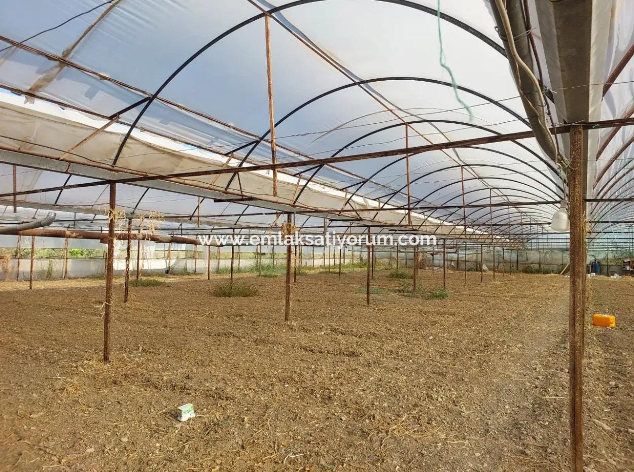 5.850 M² Seeblick Grundstück Und Dorfhaus Zum Verkauf In Ortaca Eskiköy