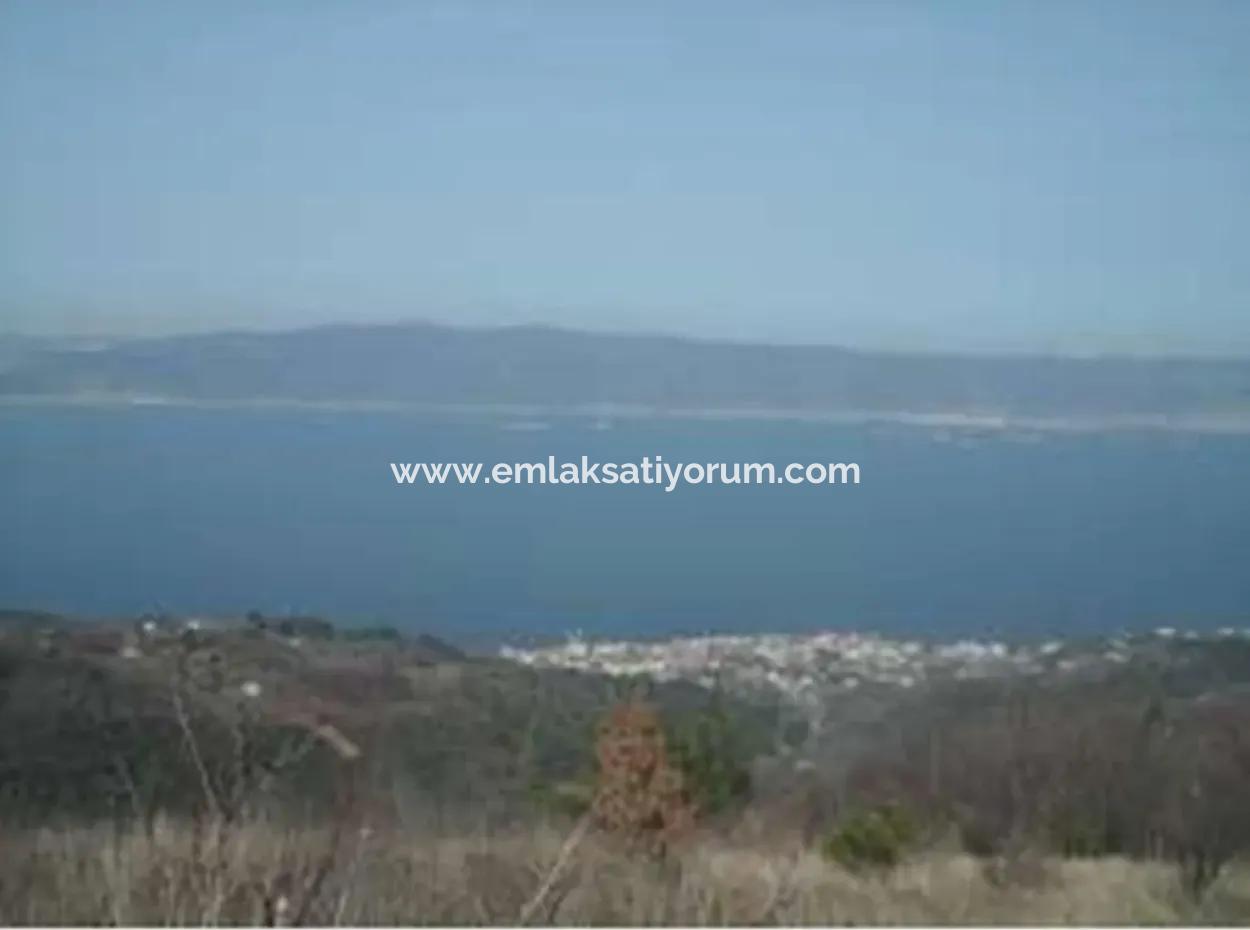 7.534 M² Meerblick Investitionsmöglichkeit Freistehendes Grundstück Zum Verkauf In Kocaeli Ereğli