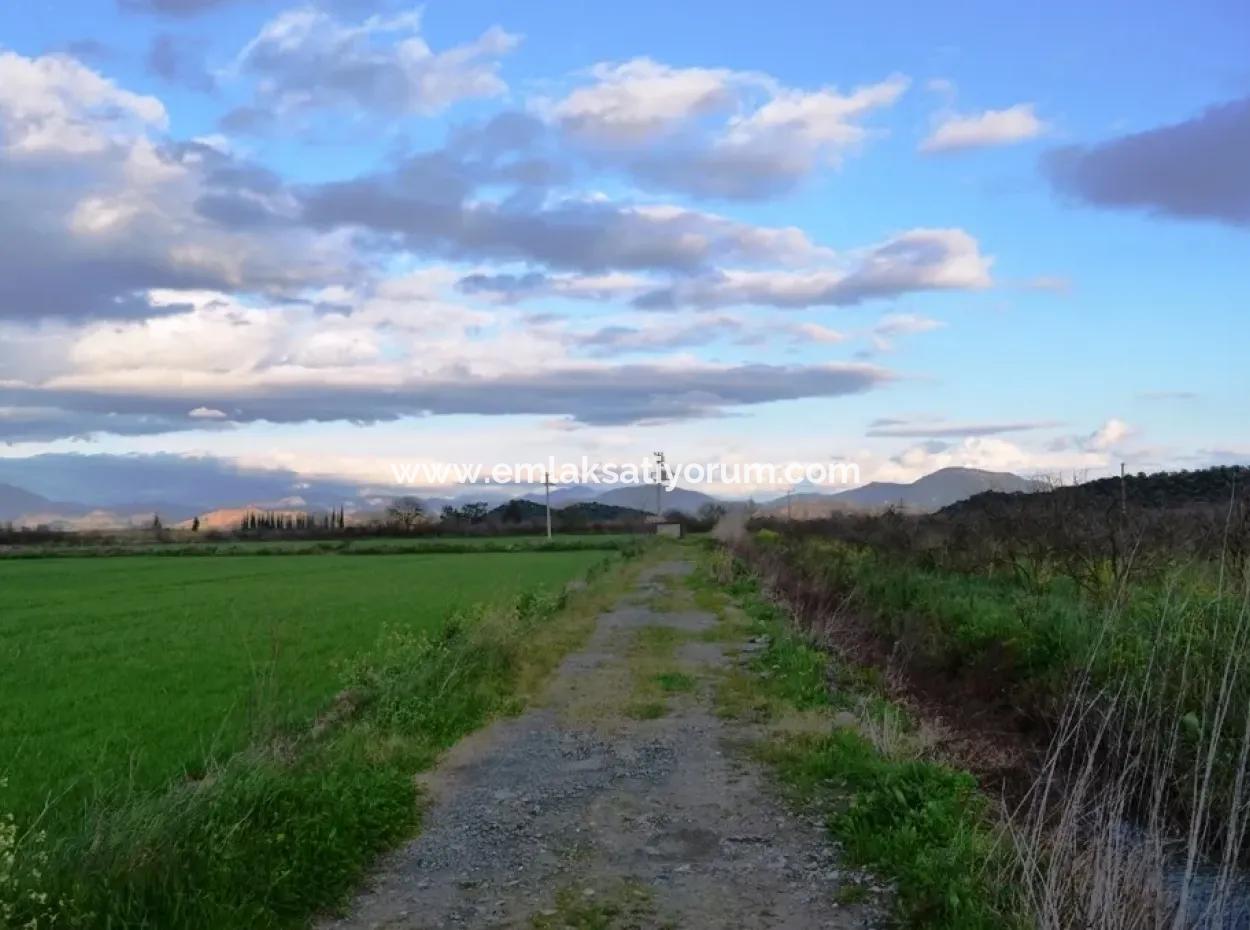 Freistehende Fruchtbare Schnäppchen Land Zum Verkauf In Ortaca Mergenli