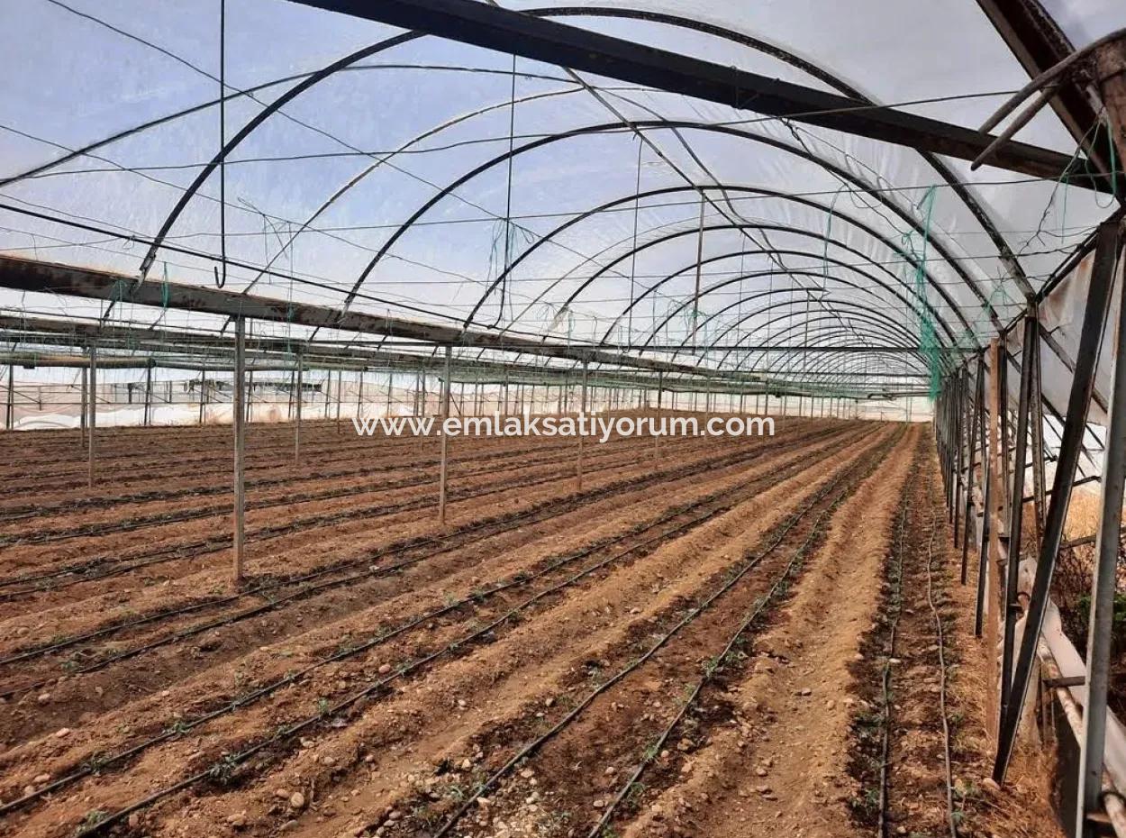 4.000 M² Tunnelgewächshaus In Muğla Ortaca Eskiköy – 2 Jahre Kostenlose Vermietung