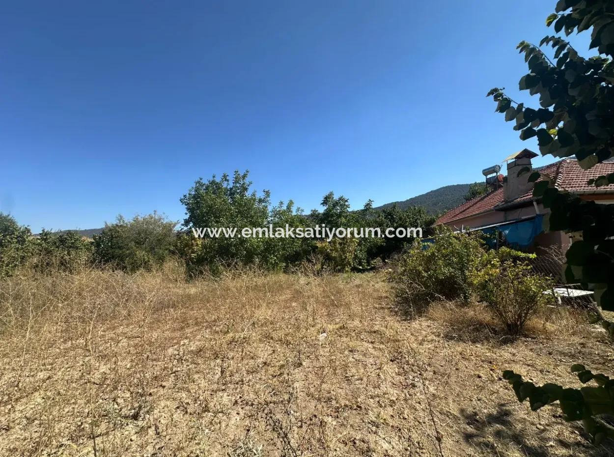 3070 M2 Walnussgarten Zum Verkauf Am Rande Der Hauptstraße In Denizli Çameli