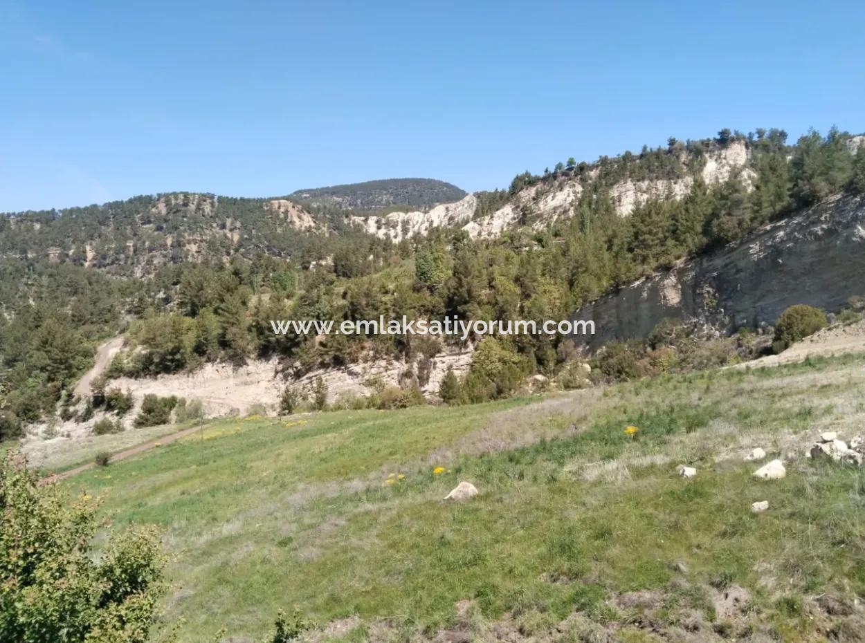 Çameli Kolakta Schnäppchen 20 000 M2 Freistehende Eigentumsurkunde Land Steht Zum Verkauf Oder Tausch.