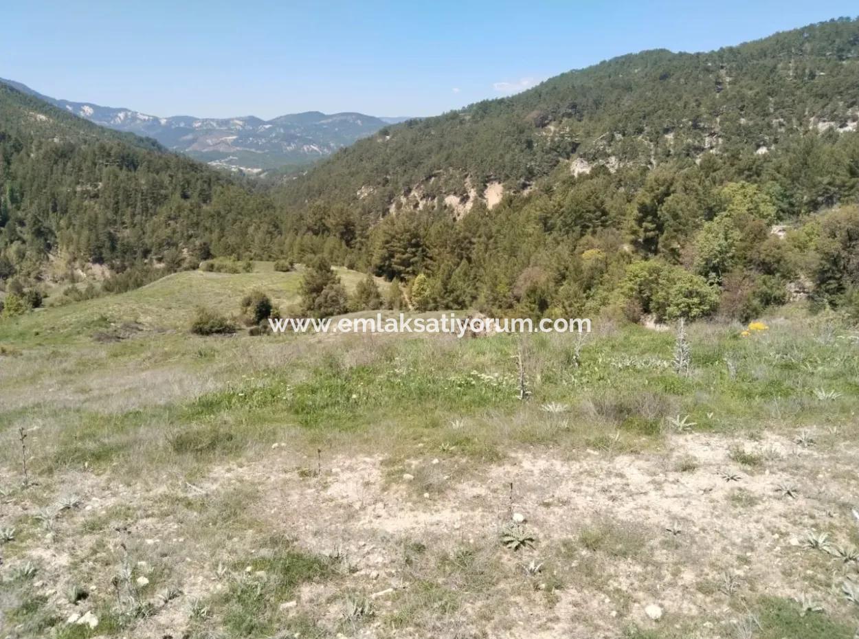 Çameli Kolakta Schnäppchen 20 000 M2 Freistehende Eigentumsurkunde Land Steht Zum Verkauf Oder Tausch.