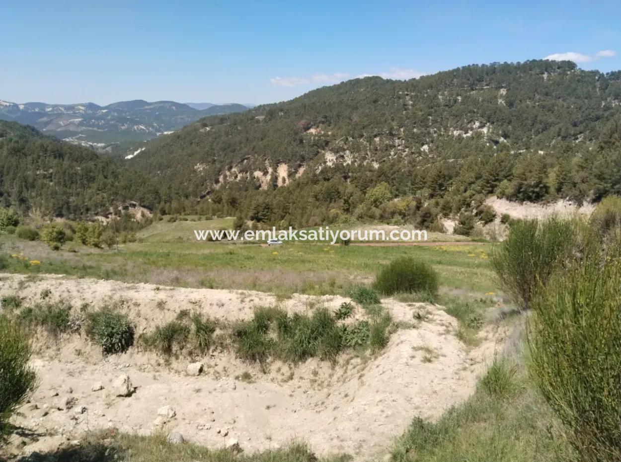 Çameli Kolakta Schnäppchen 20 000 M2 Freistehende Eigentumsurkunde Land Steht Zum Verkauf Oder Tausch.