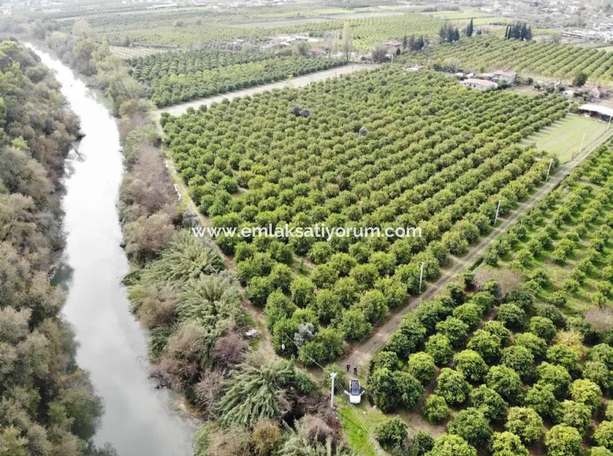 18 Hektar Land Zum Verkauf In Muğla Ortaca Akıncı