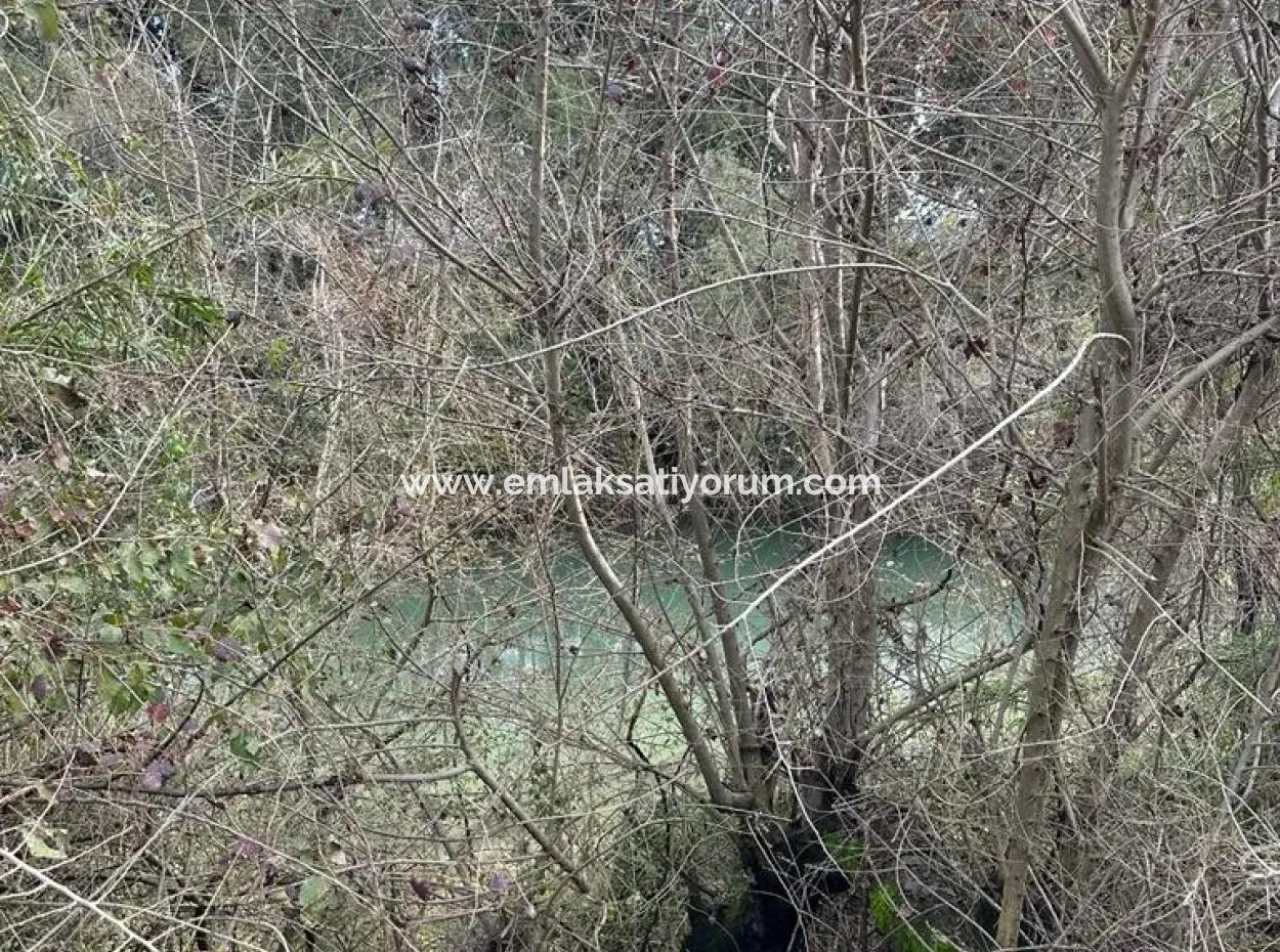 18 Hektar Land Zum Verkauf In Muğla Ortaca Akıncı