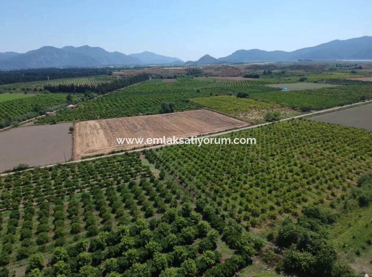 Tepearasi Oriya Schnäppchen Zwischen 13 700 M2 Land For Sale