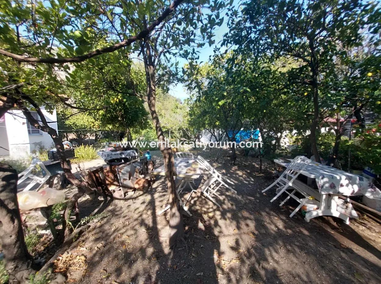 Köyceğiz Çandır Dalyan Canal Zero 865 M2 Haus Und Restaurant Zu Verkaufen