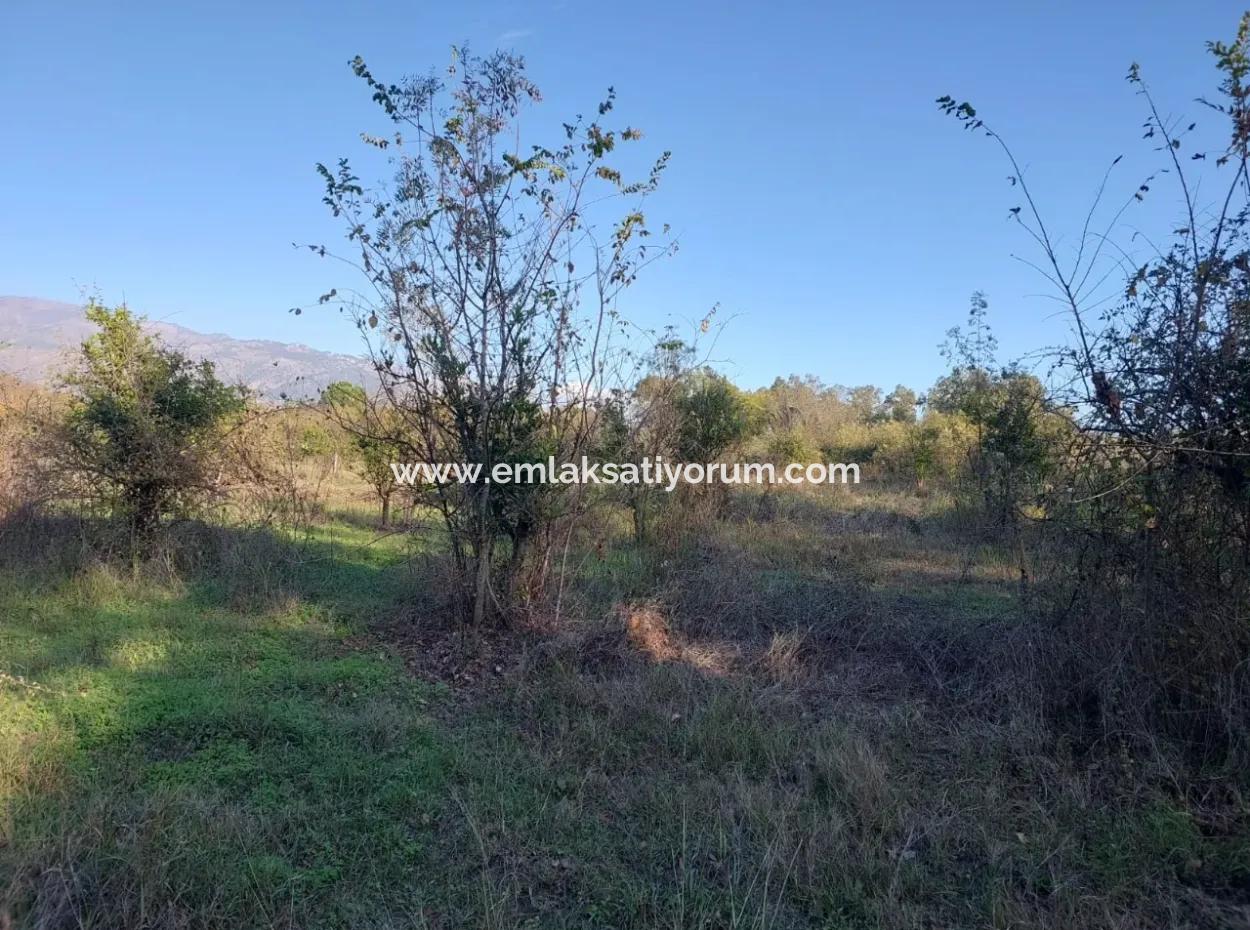 9 600 M2 Grundstück In Der Nähe Des Sees In Köyceğiz Toparlar Stehen Zum Verkauf