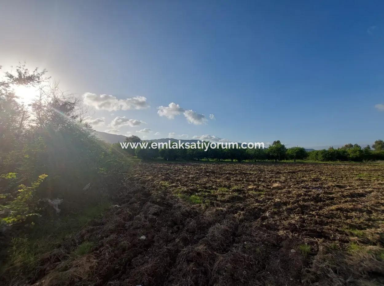 Muğla Ortaca, Dalaklı 2.000 M2, 400 M2 Wohngrundstück Zum Verkauf Mit Baurecht