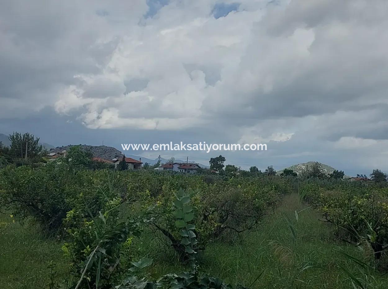 5.000 M2 Grundstück Mit 150 M2 Baurecht Stehen In Muğla Dalyan Zum Verkauf