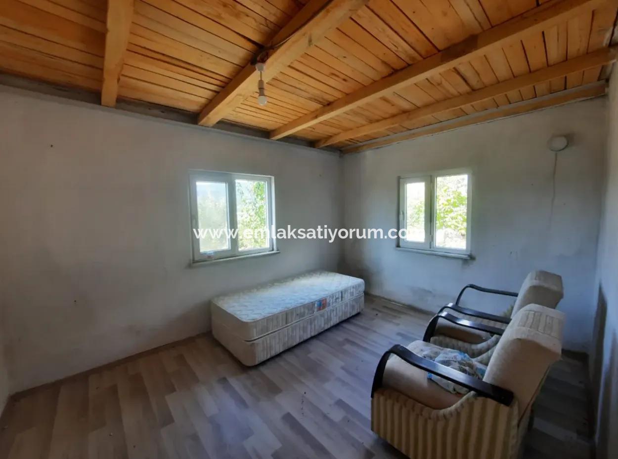 2 1 Häuser Und 200 M2 Scheune Auf 5 000 M2 Freistehendem Grundstück In Çameli Kızılyaka Zu Verkaufen