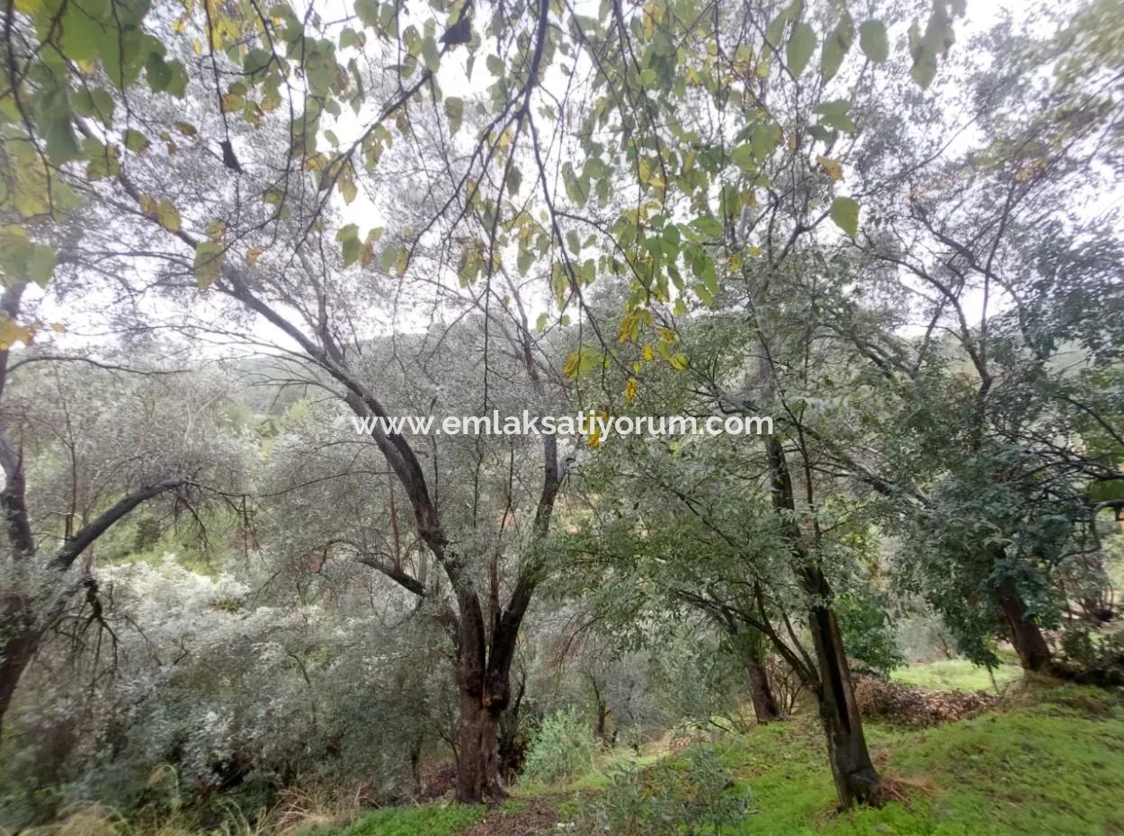Dorfhaus Mit Eigentumsurkunde Zum Verkauf In Der Natur In Muğla Fethiye İnlice