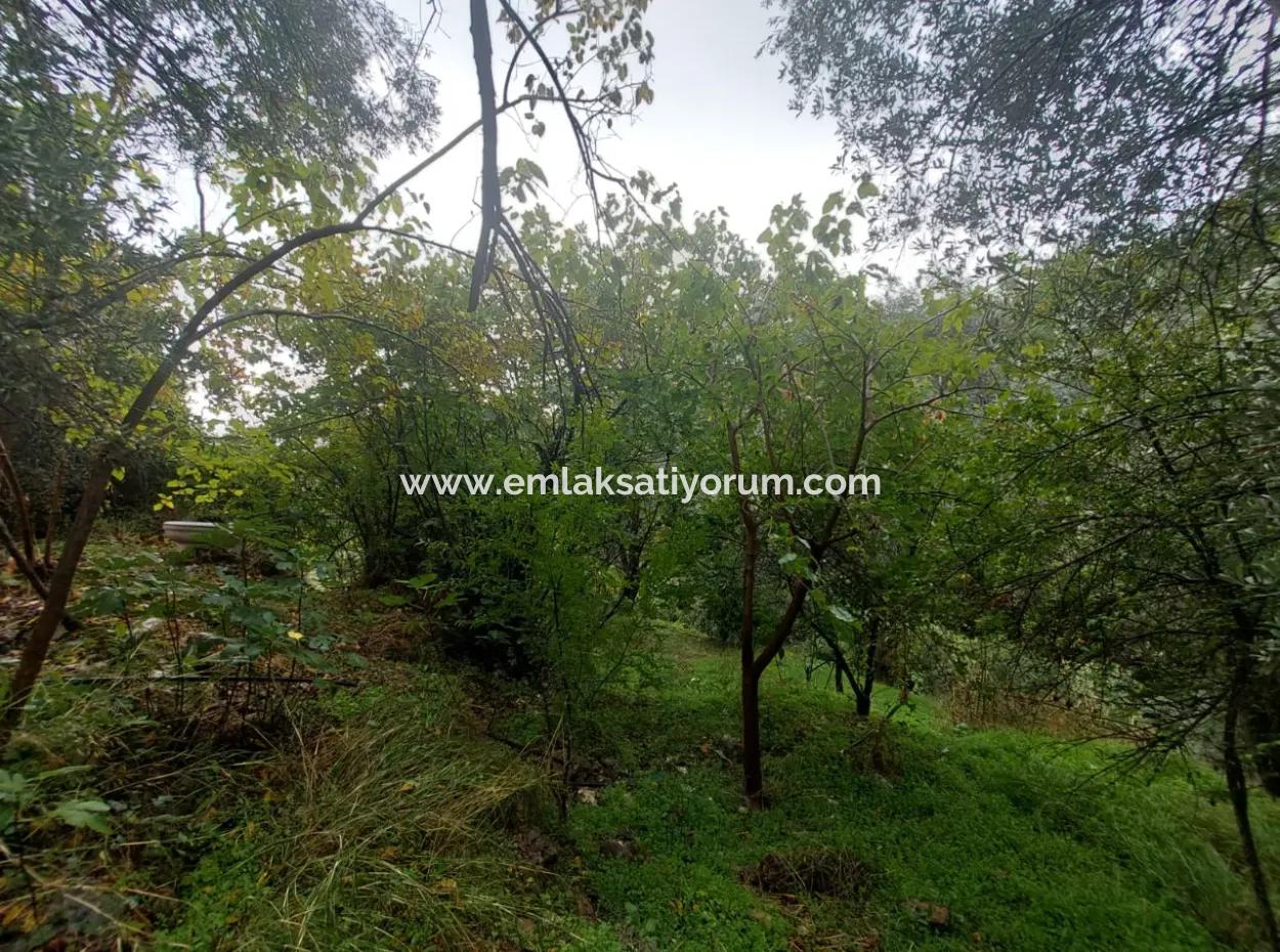 Dorfhaus Mit Eigentumsurkunde Zum Verkauf In Der Natur In Muğla Fethiye İnlice