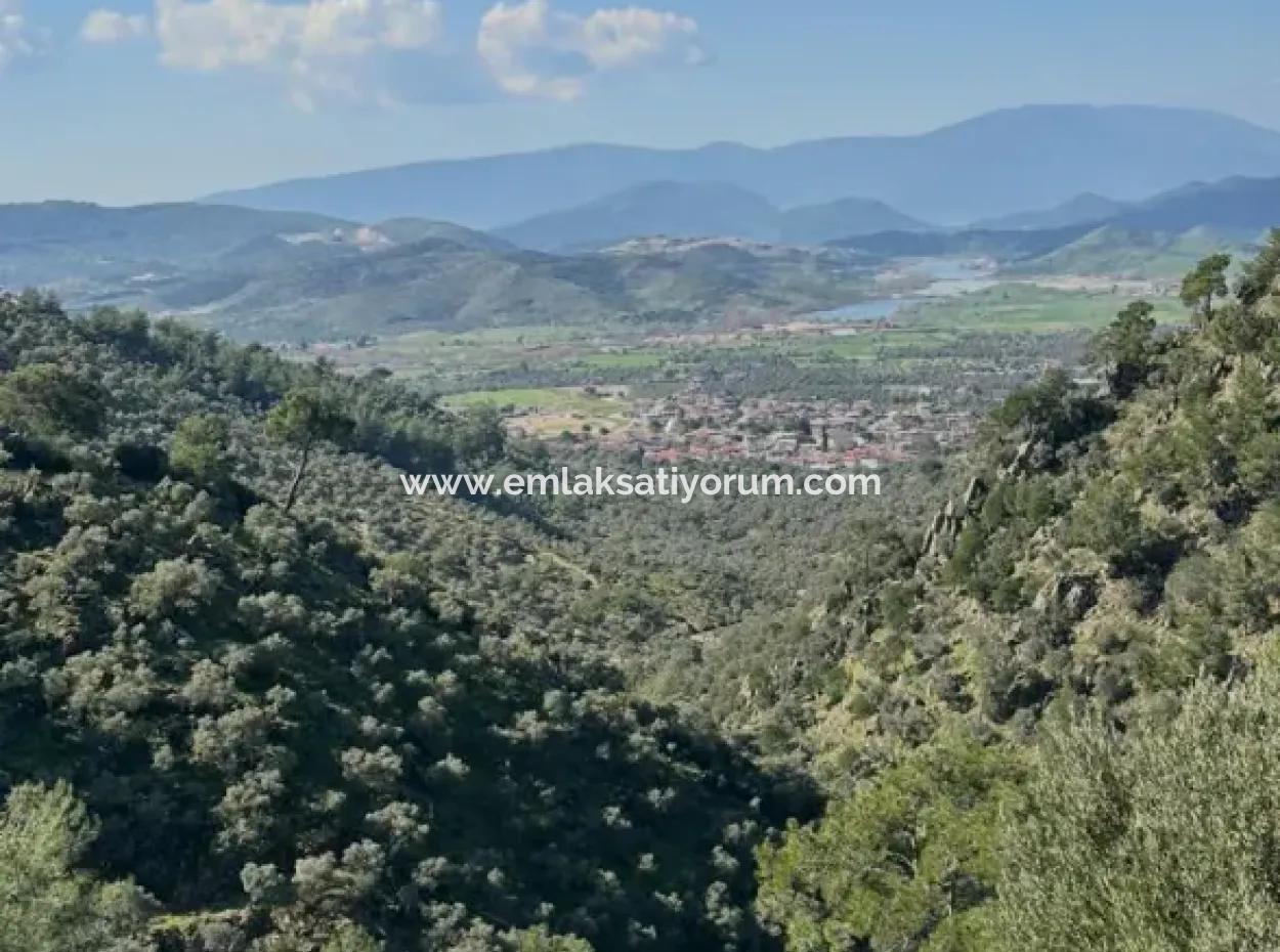 5 800 M2 Einzeltitel, Freistehendes Grundstück Zum Verkauf In Muğla Milas