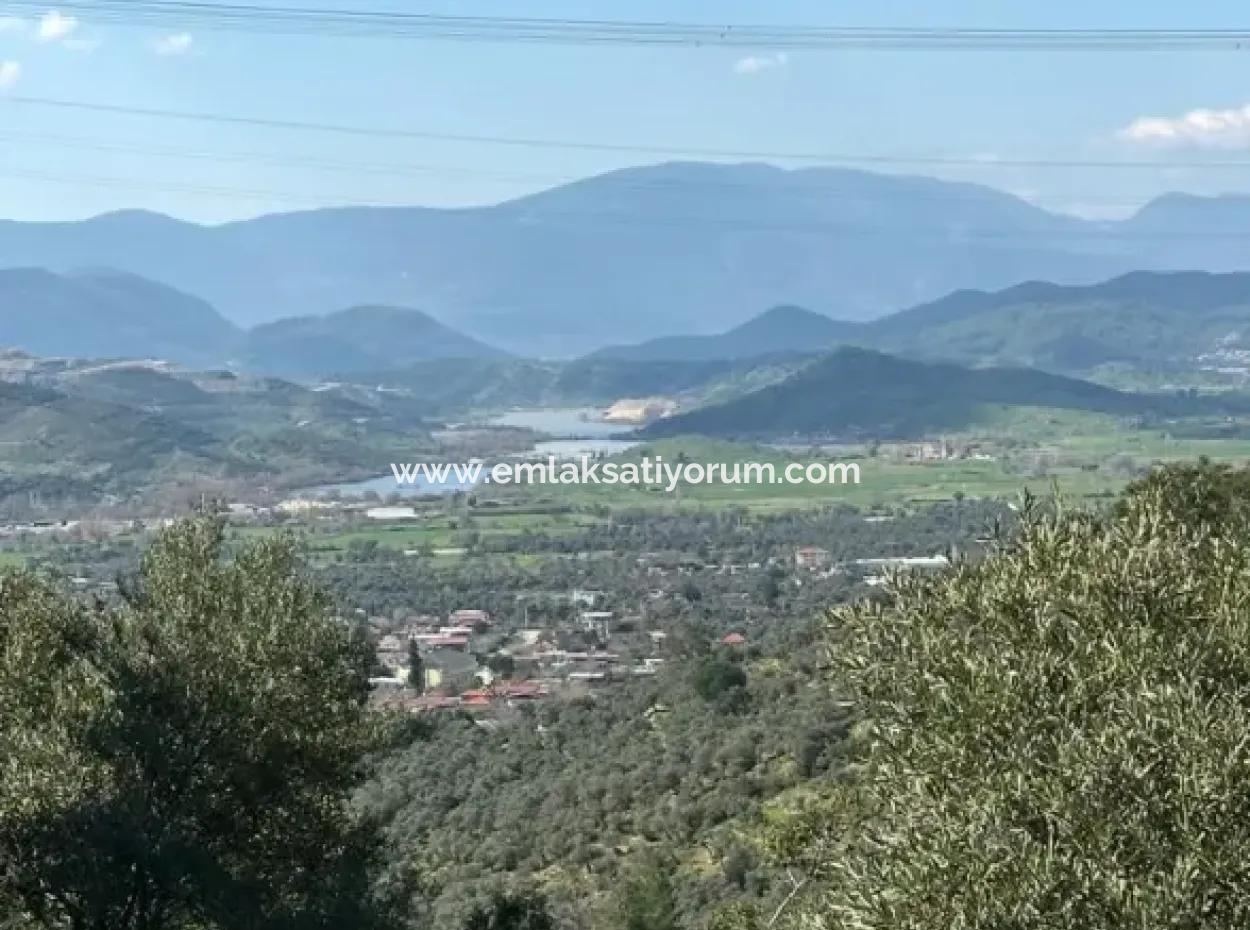 5 800 M2 Einzeltitel, Freistehendes Grundstück Zum Verkauf In Muğla Milas