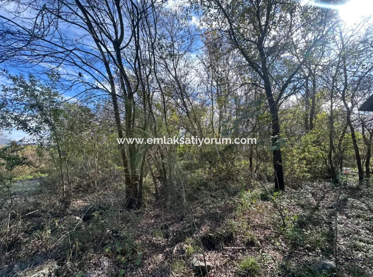 12 000 M2 Feld Zum Verkauf In Ortaca Yeşilyurt