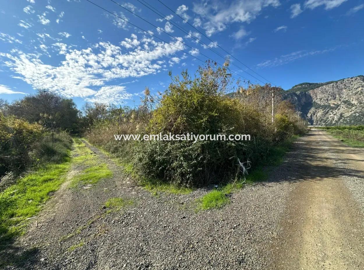 12 000 M2 Feld Zum Verkauf In Ortaca Yeşilyurt