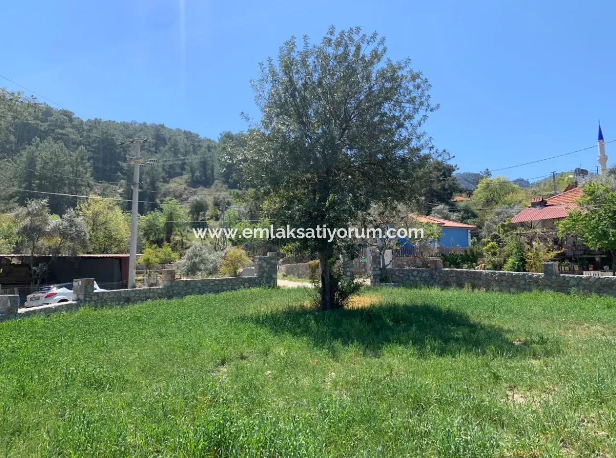 Dalyan Gökbelde 678 M2 Aktie Zum Verkauf