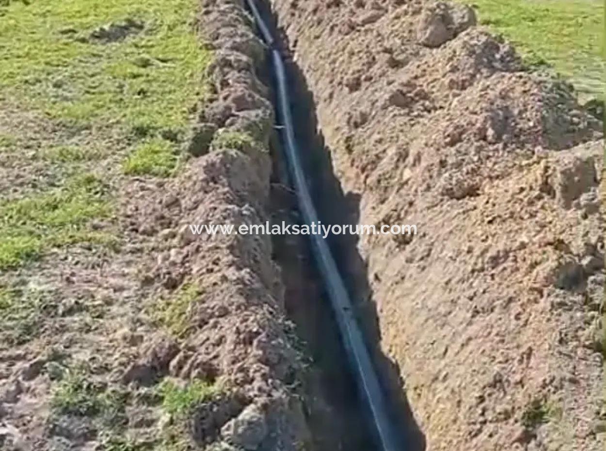 37.000 M² Walnussgarten In Denizli Tavas Ulukent Zum Verkauf