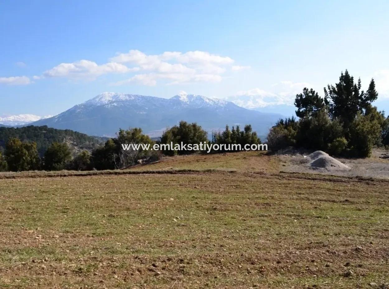 Stein-Haus Auf St. John ' S Island Und Grundstücke Zum Verkauf Oder Tauschen