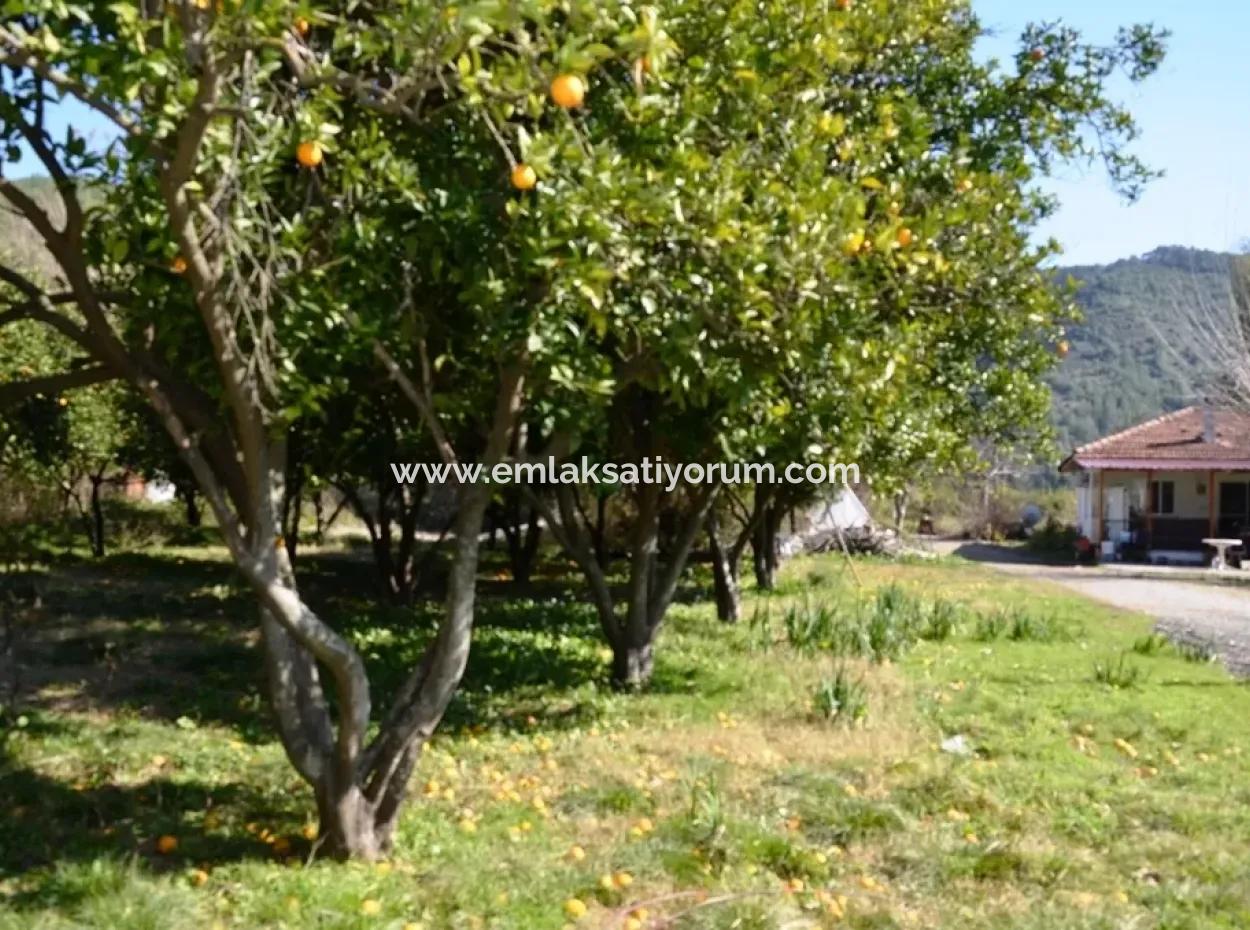 Schnäppchen Haus Im Dorf Zum Verkauf In Bogenschützen Oriya