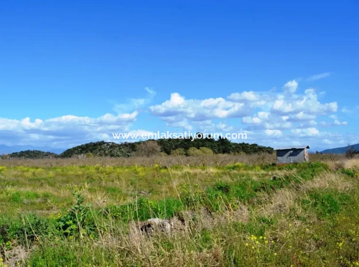 Bauernhof Zum Verkauf Schnäppchen In Dalyan