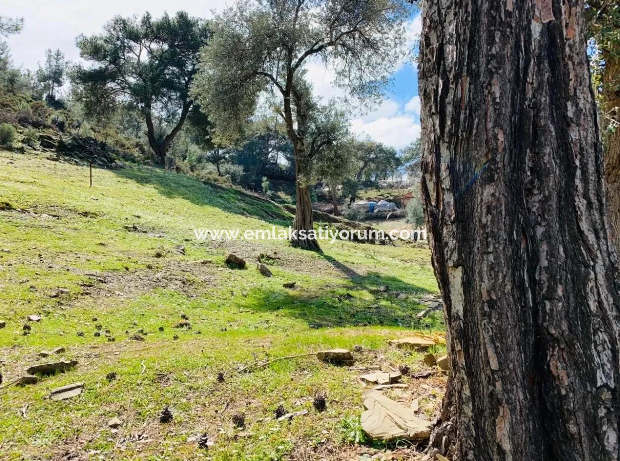 Freistehendes Feld Zu Verkaufen In Ortaca Gökbel