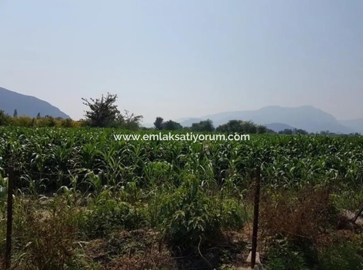 3000 M2 Grundstück Geeignet Für Investitionen Zum Verkauf In Mugla Ortaca Bogenschützen