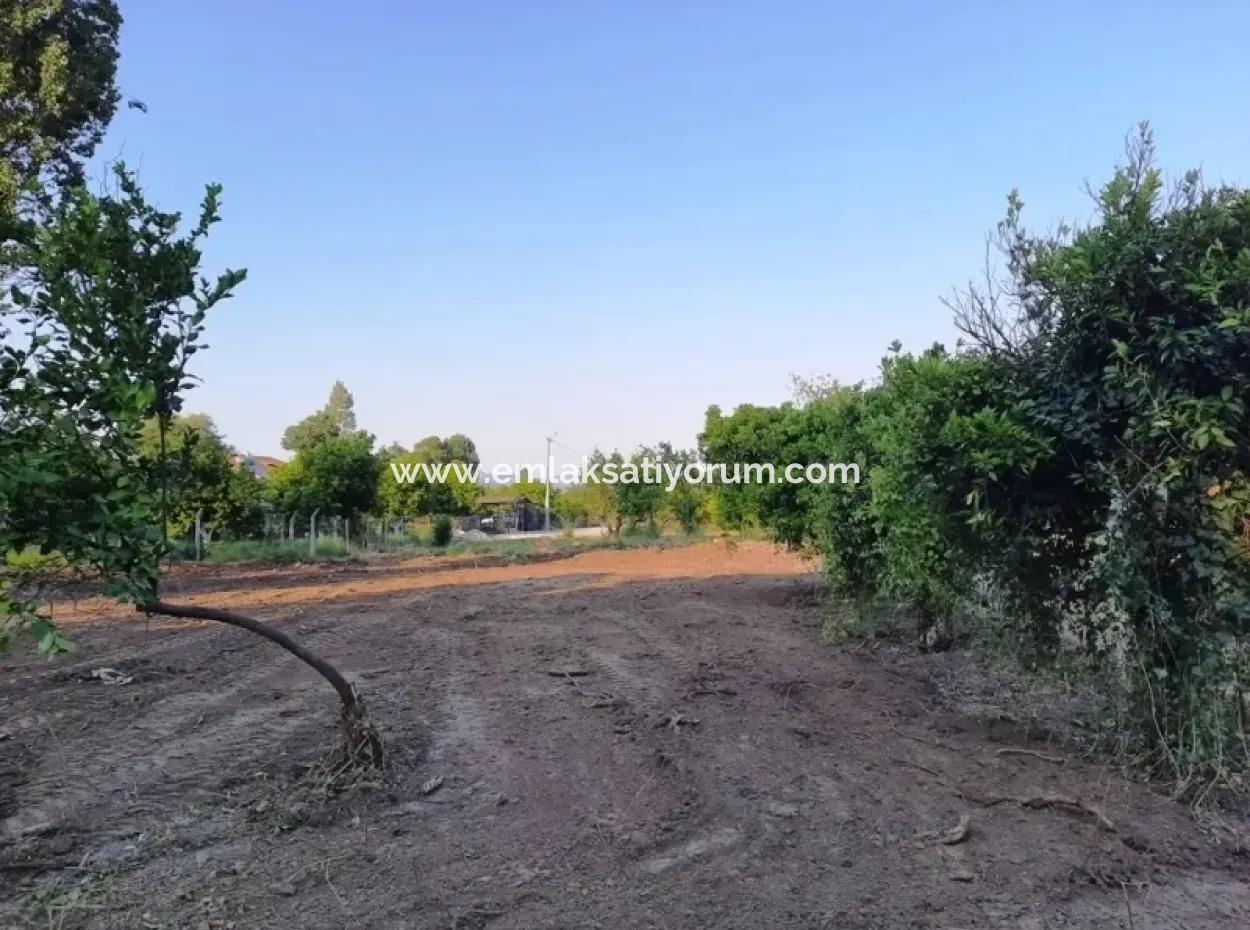 Bogenschützen Grundstück Zum Verkauf Mit Eigentumsurkunde