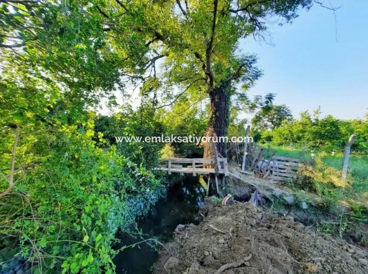 Bogenschützen Grundstück Zum Verkauf Mit Eigentumsurkunde