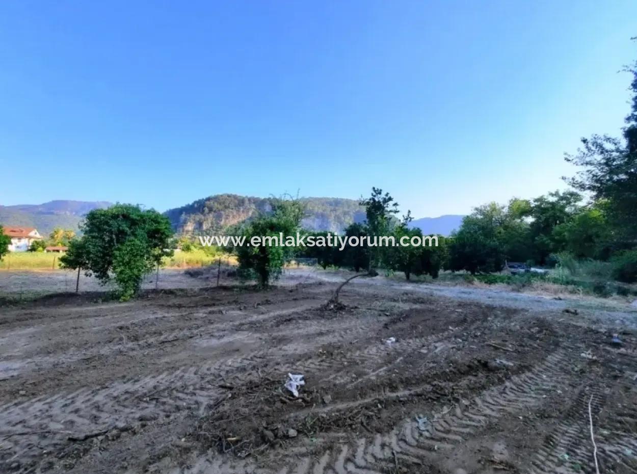 Bogenschützen Grundstück Zum Verkauf Mit Eigentumsurkunde