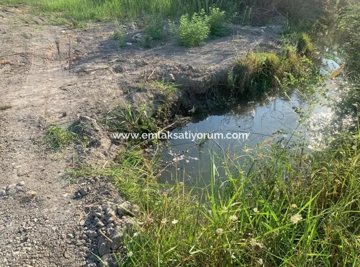 Ortaca Mergenlide 2 Parzellen Zu Verkaufen 13 000 M2 Feld