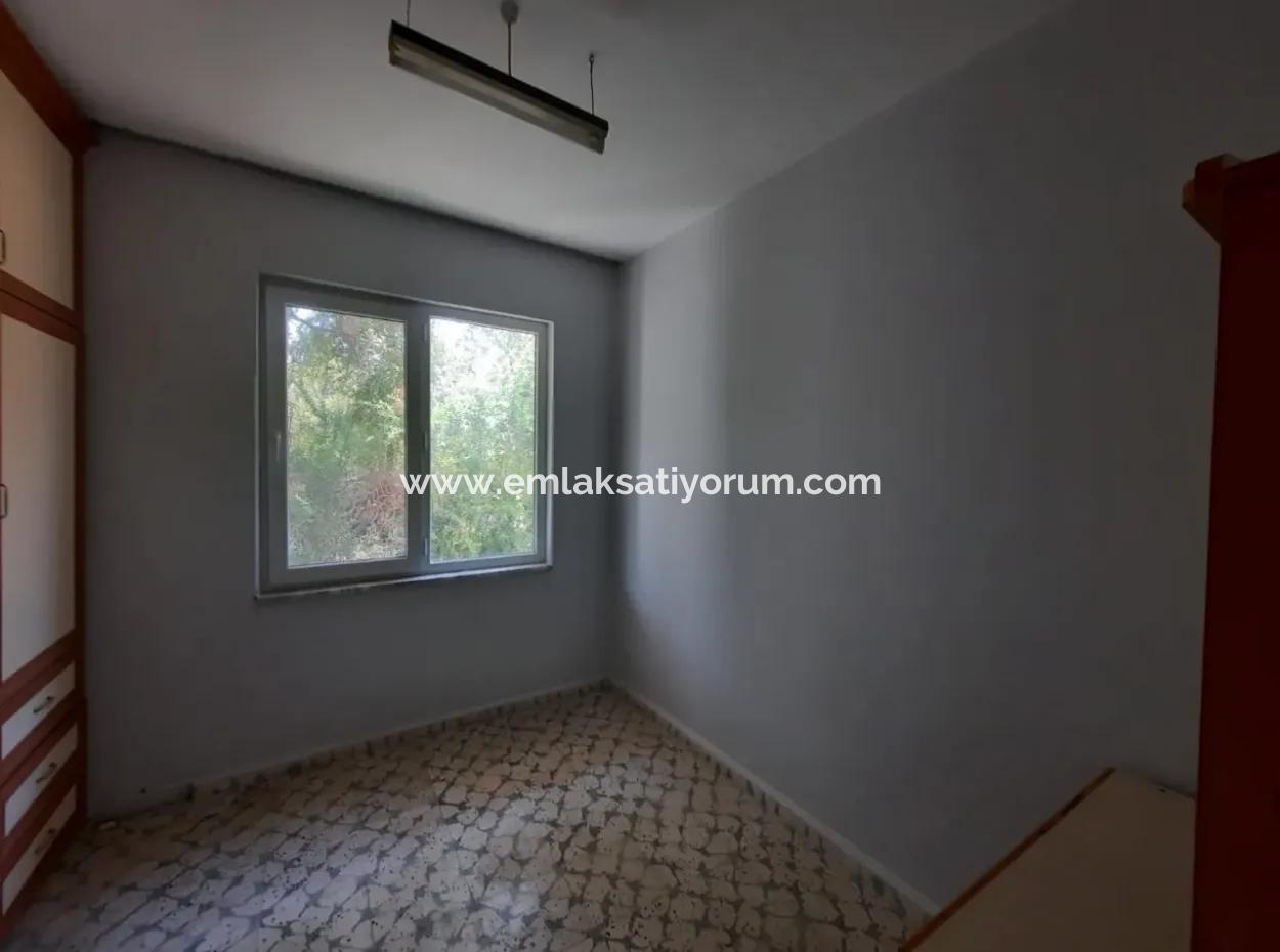 3 1 Wohnungen Zur Miete In Dalyanda